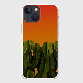 Чехол для iPhone 13 mini с принтом Кактусы на закате в Санкт-Петербурге,  |  | восход | закат | кактусы | пейзаж | пустыня | растения