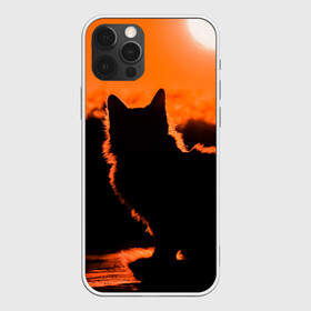Чехол для iPhone 12 Pro Max с принтом Котенок на фоне заката в Санкт-Петербурге, Силикон |  | Тематика изображения на принте: закат | кот | котенок | кошка | солнце