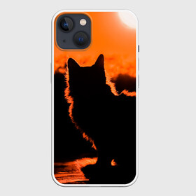 Чехол для iPhone 13 с принтом Котенок на фоне заката в Санкт-Петербурге,  |  | Тематика изображения на принте: закат | кот | котенок | кошка | солнце