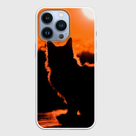 Чехол для iPhone 13 Pro с принтом Котенок на фоне заката в Санкт-Петербурге,  |  | Тематика изображения на принте: закат | кот | котенок | кошка | солнце