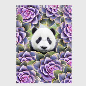 Скетчбук (блокнот) с принтом Панда среди цветов в Санкт-Петербурге, 100% бумага
 | 48 листов, плотность листов — 100 г/м2, плотность картонной обложки — 250 г/м2. Листы скреплены сверху удобной пружинной спиралью | flower | flowers | panda | панда | цветы