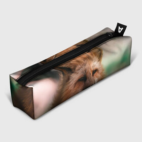 Пенал школьный 3D с принтом Строгая лисица в Санкт-Петербурге, 100% полиэстер | плотная ткань, застежка на молнии | fox | foxy | животное | звери | лиса | лисенок | лисичка | милая | рыжая | фокс