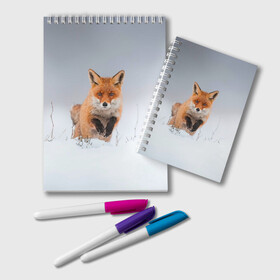 Блокнот с принтом Лисица прыгает по снегу в Санкт-Петербурге, 100% бумага | 48 листов, плотность листов — 60 г/м2, плотность картонной обложки — 250 г/м2. Листы скреплены удобной пружинной спиралью. Цвет линий — светло-серый
 | Тематика изображения на принте: fox | foxy | животное | звери | лиса | лисенок | лисичка | милая | рыжая | фокс