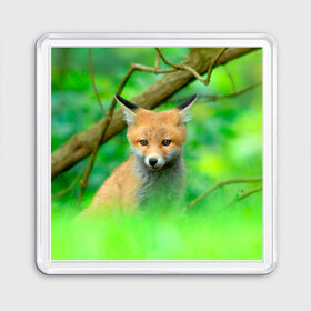 Магнит 55*55 с принтом Лисенок в зеленом лесу в Санкт-Петербурге, Пластик | Размер: 65*65 мм; Размер печати: 55*55 мм | fox | foxy | животное | звери | лиса | лисенок | лисичка | милая | рыжая | фокс