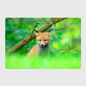 Магнитный плакат 3Х2 с принтом Лисенок в зеленом лесу в Санкт-Петербурге, Полимерный материал с магнитным слоем | 6 деталей размером 9*9 см | fox | foxy | животное | звери | лиса | лисенок | лисичка | милая | рыжая | фокс