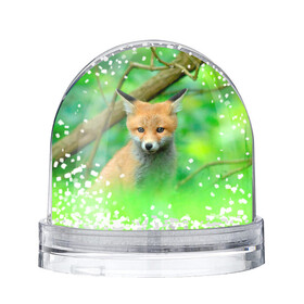 Игрушка Снежный шар с принтом Лисенок в зеленом лесу в Санкт-Петербурге, Пластик | Изображение внутри шара печатается на глянцевой фотобумаге с двух сторон | fox | foxy | животное | звери | лиса | лисенок | лисичка | милая | рыжая | фокс