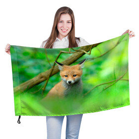 Флаг 3D с принтом Лисенок в зеленом лесу в Санкт-Петербурге, 100% полиэстер | плотность ткани — 95 г/м2, размер — 67 х 109 см. Принт наносится с одной стороны | fox | foxy | животное | звери | лиса | лисенок | лисичка | милая | рыжая | фокс