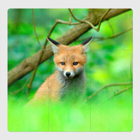 Магнитный плакат 3Х3 с принтом Лисенок в зеленом лесу в Санкт-Петербурге, Полимерный материал с магнитным слоем | 9 деталей размером 9*9 см | fox | foxy | животное | звери | лиса | лисенок | лисичка | милая | рыжая | фокс