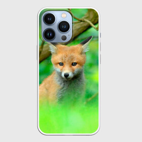 Чехол для iPhone 13 Pro с принтом Лисенок в зеленом лесу в Санкт-Петербурге,  |  | fox | foxy | животное | звери | лиса | лисенок | лисичка | милая | рыжая | фокс