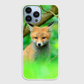 Чехол для iPhone 13 Pro Max с принтом Лисенок в зеленом лесу в Санкт-Петербурге,  |  | fox | foxy | животное | звери | лиса | лисенок | лисичка | милая | рыжая | фокс