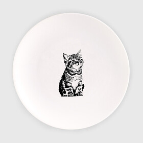 Тарелка с принтом Котенок в Санкт-Петербурге, фарфор | диаметр - 210 мм
диаметр для нанесения принта - 120 мм | cat | домашнее животное | кот | котенок | кошка