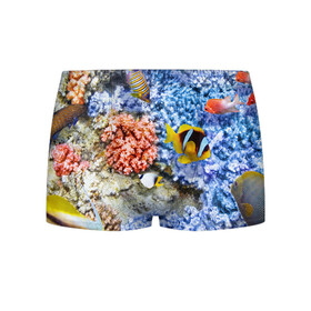 Мужские трусы 3D с принтом Морской мир в Санкт-Петербурге, 50% хлопок, 50% полиэстер | классическая посадка, на поясе мягкая тканевая резинка | Тематика изображения на принте: вода | море | морская вода | морские животные | морские жители | морской мир | океан | рыбки | рыбы