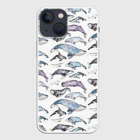 Чехол для iPhone 13 mini с принтом киты паттерн в Санкт-Петербурге,  |  | ocean | sea | sea animal | акварель | графика | касатка | киты | море | океан | рисунок кита