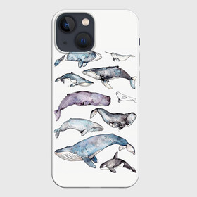 Чехол для iPhone 13 mini с принтом киты в Санкт-Петербурге,  |  | ocean | sea | киты | море | морской принт | морской фон | океан | паттерн | рыбы | текстуры