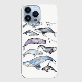 Чехол для iPhone 13 Pro Max с принтом киты в Санкт-Петербурге,  |  | ocean | sea | киты | море | морской принт | морской фон | океан | паттерн | рыбы | текстуры