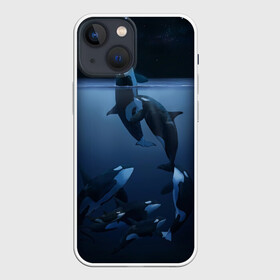 Чехол для iPhone 13 mini с принтом касатки в Санкт-Петербурге,  |  | ocean | orca | sea | sea animal | дельфин | касатка | кит | море | океан | рисунок кита
