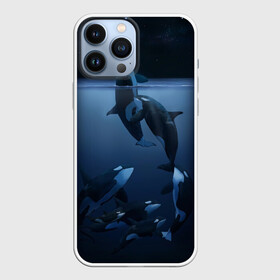 Чехол для iPhone 13 Pro Max с принтом касатки в Санкт-Петербурге,  |  | ocean | orca | sea | sea animal | дельфин | касатка | кит | море | океан | рисунок кита