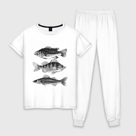 Женская пижама хлопок с принтом караси в Санкт-Петербурге, 100% хлопок | брюки и футболка прямого кроя, без карманов, на брюках мягкая резинка на поясе и по низу штанин | ocean | sea | sea animal | графика | карась | море | океан | река | рисунок рыбы | рыба | рыбалка