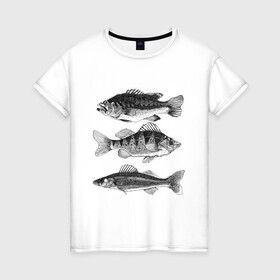 Женская футболка хлопок с принтом караси в Санкт-Петербурге, 100% хлопок | прямой крой, круглый вырез горловины, длина до линии бедер, слегка спущенное плечо | ocean | sea | sea animal | графика | карась | море | океан | река | рисунок рыбы | рыба | рыбалка