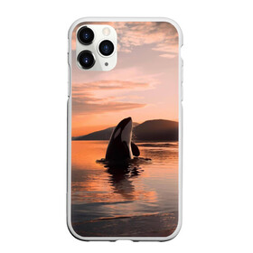 Чехол для iPhone 11 Pro матовый с принтом касатки на закате в Санкт-Петербурге, Силикон |  | ocean | orca | sea | sea animal | дельфин | закат | касатка | кит | море | океан | рисунок кита