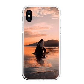 Чехол для iPhone XS Max матовый с принтом касатки на закате в Санкт-Петербурге, Силикон | Область печати: задняя сторона чехла, без боковых панелей | ocean | orca | sea | sea animal | дельфин | закат | касатка | кит | море | океан | рисунок кита