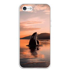 Чехол для iPhone 5/5S матовый с принтом касатки на закате в Санкт-Петербурге, Силикон | Область печати: задняя сторона чехла, без боковых панелей | Тематика изображения на принте: ocean | orca | sea | sea animal | дельфин | закат | касатка | кит | море | океан | рисунок кита