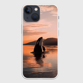 Чехол для iPhone 13 mini с принтом касатки на закате в Санкт-Петербурге,  |  | ocean | orca | sea | sea animal | дельфин | закат | касатка | кит | море | океан | рисунок кита