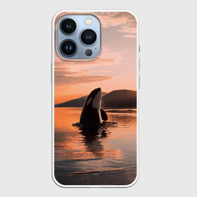 Чехол для iPhone 13 Pro с принтом касатки на закате в Санкт-Петербурге,  |  | ocean | orca | sea | sea animal | дельфин | закат | касатка | кит | море | океан | рисунок кита
