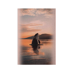 Обложка для паспорта матовая кожа с принтом касатки на закате в Санкт-Петербурге, натуральная матовая кожа | размер 19,3 х 13,7 см; прозрачные пластиковые крепления | Тематика изображения на принте: ocean | orca | sea | sea animal | дельфин | закат | касатка | кит | море | океан | рисунок кита