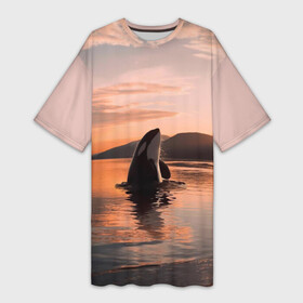 Платье-футболка 3D с принтом касатки на закате в Санкт-Петербурге,  |  | ocean | orca | sea | sea animal | дельфин | закат | касатка | кит | море | океан | рисунок кита