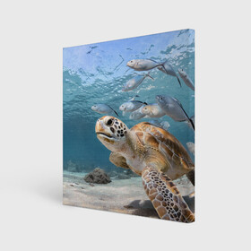 Холст квадратный с принтом Морская черепаха в Санкт-Петербурге, 100% ПВХ |  | Тематика изображения на принте: море | морская | океан | подводный мир | рыбы | черепаха