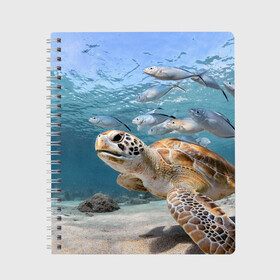 Тетрадь с принтом Морская черепаха в Санкт-Петербурге, 100% бумага | 48 листов, плотность листов — 60 г/м2, плотность картонной обложки — 250 г/м2. Листы скреплены сбоку удобной пружинной спиралью. Уголки страниц и обложки скругленные. Цвет линий — светло-серый
 | море | морская | океан | подводный мир | рыбы | черепаха