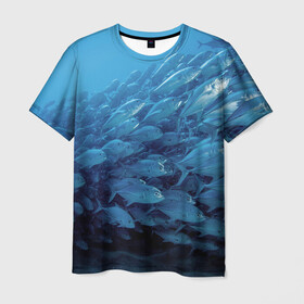 Мужская футболка 3D с принтом Морские рыбы в Санкт-Петербурге, 100% полиэфир | прямой крой, круглый вырез горловины, длина до линии бедер | Тематика изображения на принте: косяк | море | океан | подводный мир | рыбки | рыбы