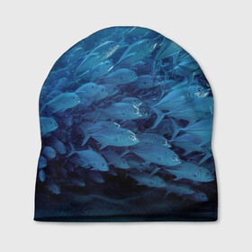 Шапка 3D с принтом Морские рыбы в Санкт-Петербурге, 100% полиэстер | универсальный размер, печать по всей поверхности изделия | Тематика изображения на принте: косяк | море | океан | подводный мир | рыбки | рыбы