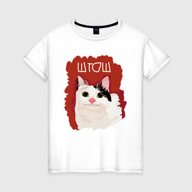 Женская футболка хлопок с принтом котик ШТОШ в Санкт-Петербурге, 100% хлопок | прямой крой, круглый вырез горловины, длина до линии бедер, слегка спущенное плечо | кот | меме | прикол | штош | юмор