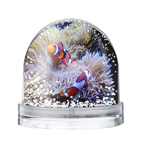 Игрушка Снежный шар с принтом Клоуны в актинии в Санкт-Петербурге, Пластик | Изображение внутри шара печатается на глянцевой фотобумаге с двух сторон | актиния | клоуны | коралловые | море | подводный мир | рыбки