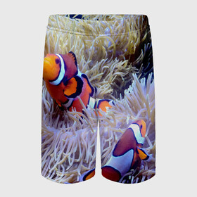 Детские спортивные шорты 3D с принтом Клоуны в актинии в Санкт-Петербурге,  100% полиэстер
 | пояс оформлен широкой мягкой резинкой, ткань тянется
 | Тематика изображения на принте: актиния | клоуны | коралловые | море | подводный мир | рыбки