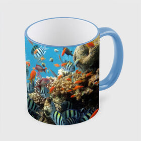 Кружка с принтом Коралловые рыбки в Санкт-Петербурге, керамика | ёмкость 330 мл | Тематика изображения на принте: коралловые | кораллы | море | подводный мир | рыбки
