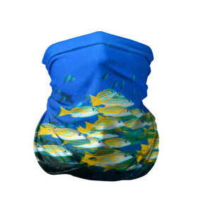 Бандана-труба 3D с принтом Коралловые рыбки в Санкт-Петербурге, 100% полиэстер, ткань с особыми свойствами — Activecool | плотность 150‒180 г/м2; хорошо тянется, но сохраняет форму | коралловые | кораллы | море | морские обитатели | океан | подводный мир | рыбки