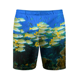 Мужские шорты спортивные с принтом Коралловые рыбки в Санкт-Петербурге,  |  | коралловые | кораллы | море | морские обитатели | океан | подводный мир | рыбки