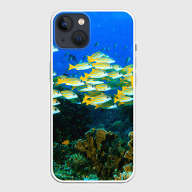 Чехол для iPhone 13 с принтом Коралловые рыбки в Санкт-Петербурге,  |  | коралловые | кораллы | море | морские обитатели | океан | подводный мир | рыбки