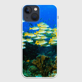Чехол для iPhone 13 mini с принтом Коралловые рыбки в Санкт-Петербурге,  |  | коралловые | кораллы | море | морские обитатели | океан | подводный мир | рыбки