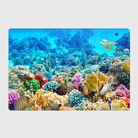 Магнитный плакат 3Х2 с принтом Риф в Санкт-Петербурге, Полимерный материал с магнитным слоем | 6 деталей размером 9*9 см | Тематика изображения на принте: коралловый риф | полосатые рыбы | риф | рыбы | сказочный риф