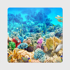 Магнит виниловый Квадрат с принтом Риф в Санкт-Петербурге, полимерный материал с магнитным слоем | размер 9*9 см, закругленные углы | Тематика изображения на принте: коралловый риф | полосатые рыбы | риф | рыбы | сказочный риф