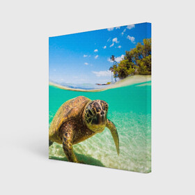 Холст квадратный с принтом Морская черепашка в Санкт-Петербурге, 100% ПВХ |  | Тематика изображения на принте: отдых | пляж | черепашка под водой