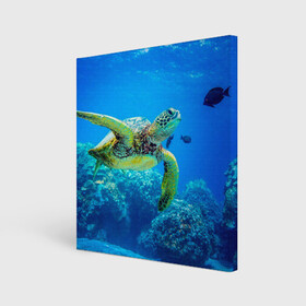 Холст квадратный с принтом Морская черепаха в Санкт-Петербурге, 100% ПВХ |  | Тематика изображения на принте: морская черепаха | океан | подводный мир | черепаха