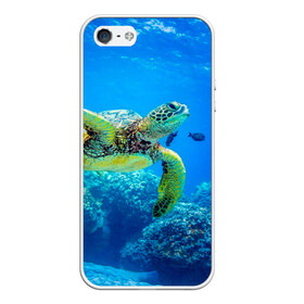 Чехол для iPhone 5/5S матовый с принтом Морская черепаха в Санкт-Петербурге, Силикон | Область печати: задняя сторона чехла, без боковых панелей | морская черепаха | океан | подводный мир | черепаха