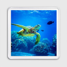 Магнит 55*55 с принтом Морская черепаха в Санкт-Петербурге, Пластик | Размер: 65*65 мм; Размер печати: 55*55 мм | Тематика изображения на принте: морская черепаха | океан | подводный мир | черепаха
