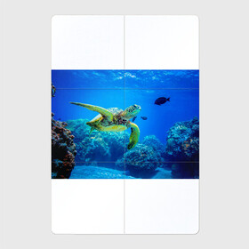 Магнитный плакат 2Х3 с принтом Морская черепаха в Санкт-Петербурге, Полимерный материал с магнитным слоем | 6 деталей размером 9*9 см | Тематика изображения на принте: морская черепаха | океан | подводный мир | черепаха