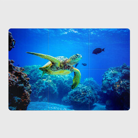 Магнитный плакат 3Х2 с принтом Морская черепаха в Санкт-Петербурге, Полимерный материал с магнитным слоем | 6 деталей размером 9*9 см | Тематика изображения на принте: морская черепаха | океан | подводный мир | черепаха